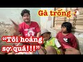 Tận cùng nỗi khổ của người đàn ông ngoại quốc "gà trống nuôi 3 con" ở Sài Gòn