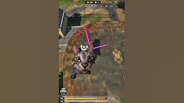 Next level camping strategy 😸😂 #callofdutymobile #codmobile #codm 