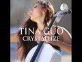 Crystallize - Lindsey Stirling Cover by Tina Guo [Dubstep Cello]