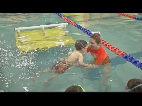 Daytime Goldfish Swim School