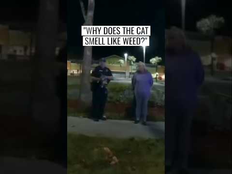 Homeless Woman Arrested for Drugs Has Cat That Smells Like W**d #Florida #Bodycam #Crime