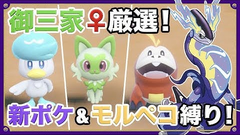 メスポケモンしばり Youtube