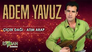 Adem Yavuz Çiçek Dağı - Atım Arap