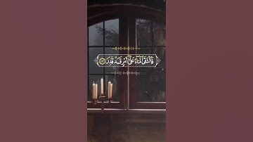 حالات واتس قران كريم | محمد صديق المنشاوي