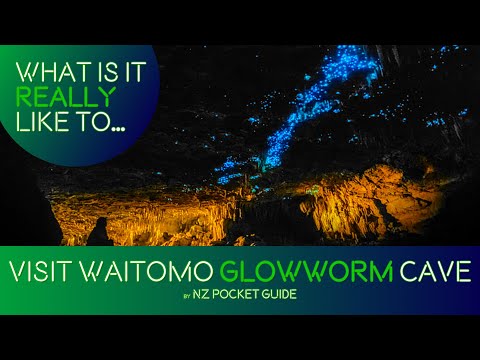 Video: Waitomo Glowworm Caves: The Complete Guide