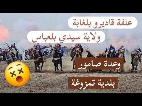 البارود مع علفة قاديرو بلغابة في وعدة صامور بلدية تمزوغة