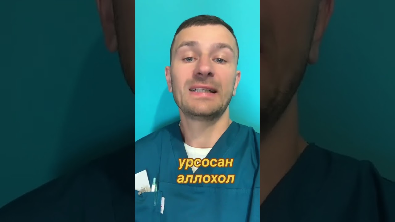 аллохол, холецистит, желчный пузырь, урсосан, застой желчи, печень