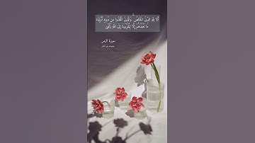 آية ٣ "ألا لله الدين الخالص والذين اتخذوا من دونه أولياء " من سورة الزمر
