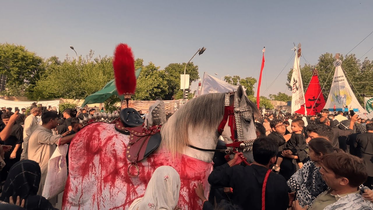 Zuljanah Sarkar - Duldul Badshah | Chehlum G-6/2 Islamabad 2023 | Hussain Badshah - حسین بادشاہ |