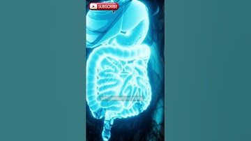 🤢🌌Can you burp in space? 🤢🌌 #BurpingInSpace #SpaceFacts #ZeroGravityFun #CosmicBelches #SpaceScience