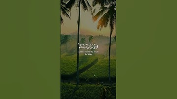 وأفوض أمري إلى الله [غافر: 44] القارئ #نعمه_الحسان