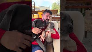 No le gustó .. que viniera un amigo a vernos 🙈🙈