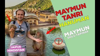 Maymunlara Tapıyorlar! Maymun Tanrısı Hanuman İle Tanışın !!!(Sonuna Kadar İzleyin)