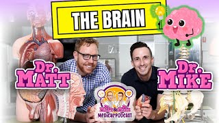 The Brain | Podcast