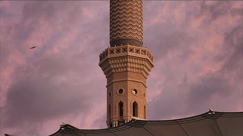 سورة فاطر | الشيخ احمد بن علي الحذيفي