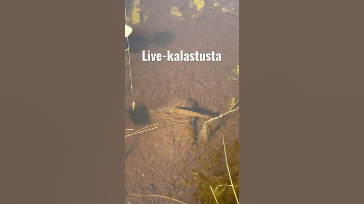 Haukea ei kiinnosta… #kalastus