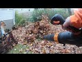 Leaf Cleanup