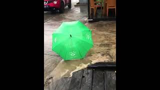 Must Watch New Funny Video 2021Top New Comedy Video 2021Try To Not Laugh