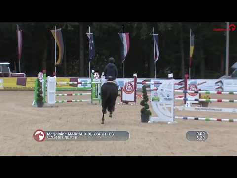 Adzaro de L‘Abbaye B -  Ranshofen Herbstfinale 2019