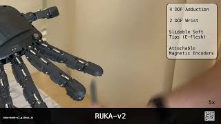 Celebrity RUKA v2: Tendon Driven Open-Source Dexterous Hand with Wrist and Abduction for Robot Learning Net Worth