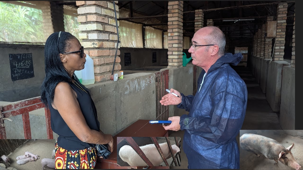 🐷💡 Biratangaje! Inzobere yo mu Bufaransa Yaje Kwigisha Amabanga y’Imirire y’Ingurube 🚀🎯