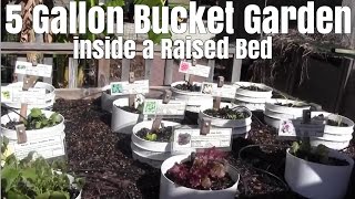5 Gallon Bucket Garden Inside A Raised Bed Greentv 20 000