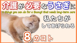 うさぎの介護 大切な８個のコト