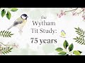 75 Years of the Wytham Tit Study