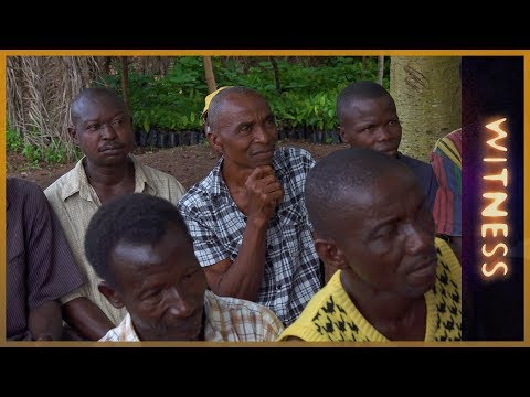 Sierra Leone: The Husband School | Witness