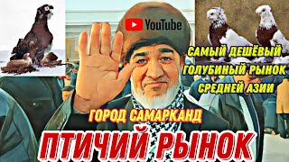:  ,   .  ,   -  . #