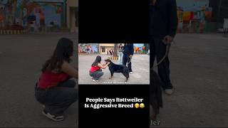 It’s All About Love Not Breed #dog #rottweiler #love #shorts #shortvideo #viral #pets