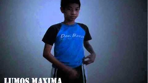 Harry Potter |  Lumos Maxima