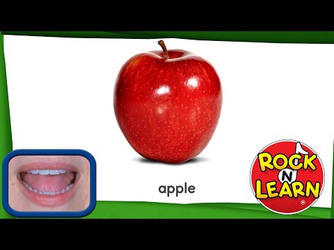 Learn English | Words Used at a Picnic