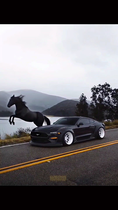 Mustang GT Black Horse | 🐎 🖤 | #mustang #mustanggt #mustangshelby #SupercarLifestyle #supercarlovers
