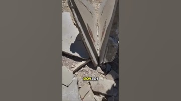 Perfect Fossil Fish Split @ Fossil Lake Safari