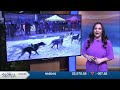 “Open” World Championship Sled Dog Races kick-off in Downtown Anchorage
