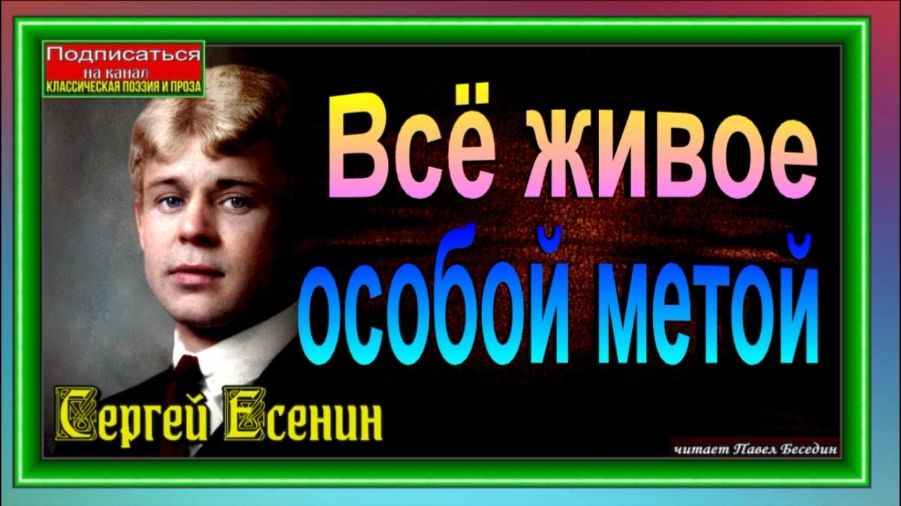 Особой метой. Стихотворение все живое особой метой. Все живое особой метой. Всё живое особой метой. Стихотворение Есенина все живое особой метой.