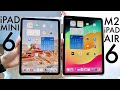 M2 iPad Air 6 Vs iPad Mini 6! (Comparison) (Review)