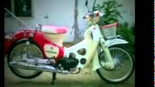 Koleksi Gambar Modifikasi Honda C70 Kla Terbaik