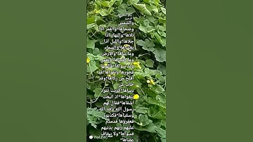 سورةالشمش