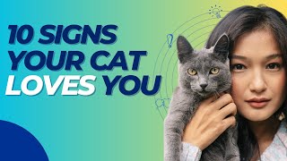 😻 10 Distinctive Signs Your Cat Loves You 💯😸 by FurrPawz 155 views 1 year ago 5 minutes, 49 seconds