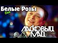 Ласковый Май -  Белые Розы (Live)