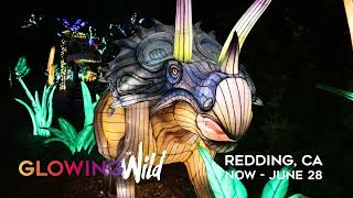 2026 Glowing Wild