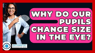 Why Do Our Pupils Change Size In The Eye? - Optometry Knowledge Base
