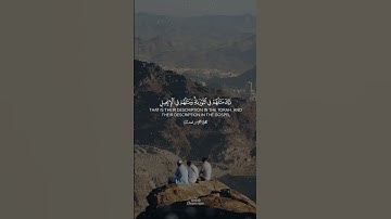 تلاوة عطرة للقارئ الشيخ ياسر الدوسري{محمد رسول الله}✨