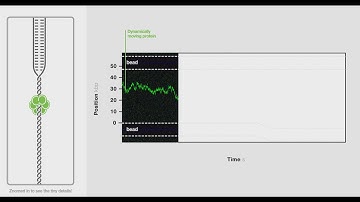 Dynamic single-molecule analysis for direct, indisputable evidence of molecular mechanisms