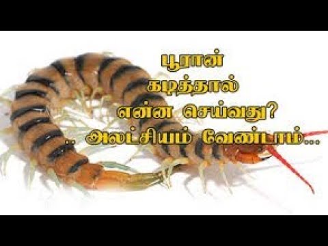 pooran kadi problem - bite Tamil Home Remedy 100% Useful ...