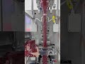 Small bag granule packaging machine. #fillingmachine #equipment #factory #particlepacking#machine