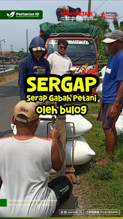 Sergap - Serap Gabah Petani oleh Bulog