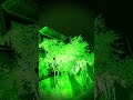 bhoot wala video#Bhoot ki awaaz#bhoot sound#trending short#creepy #ghost #scary #horror sound effect